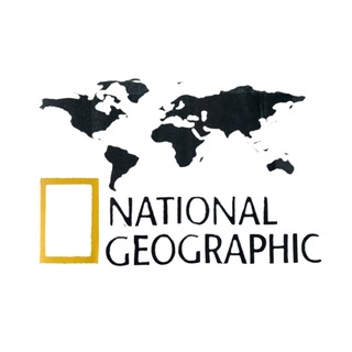 برچسب بدنه مشکی زرد نشنال جئوگرافیک آفرود NATIONAL GEOGRAPHIC 
